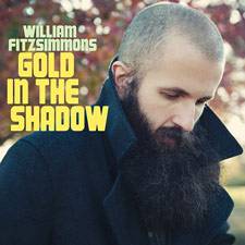 William Fitzsimmons : Gold in the Shadows